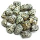 Tumbled Stone Jasper Dalmation