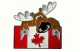 Metal Magnet Moose and Canada Flag