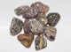 Tumbled Stone Jasper Leopardskin 