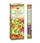 HEM Incense Wild Orchids Tube 20 Sticks