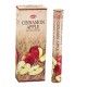 Incense HEM Cinnamon Apple Tube 20 sticks