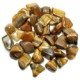 Tumbled Stone Tigers Eye Gold